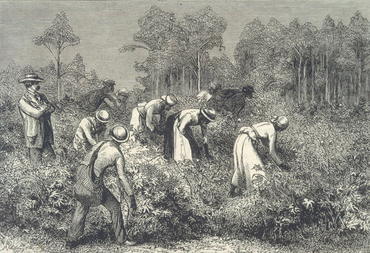 わかりやすく解説 ゴスペルとは ゴスペルとその歴史 Milkyway Choir