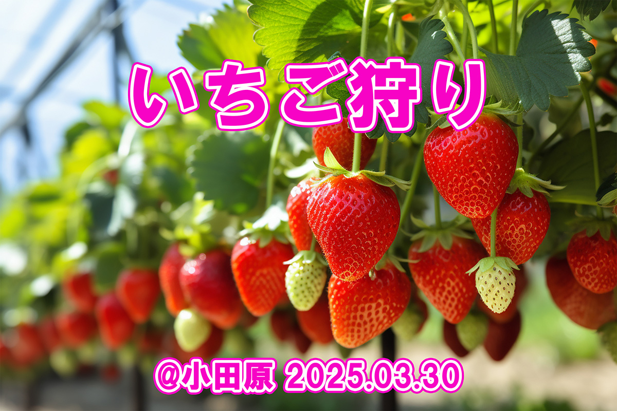 いちご狩り
