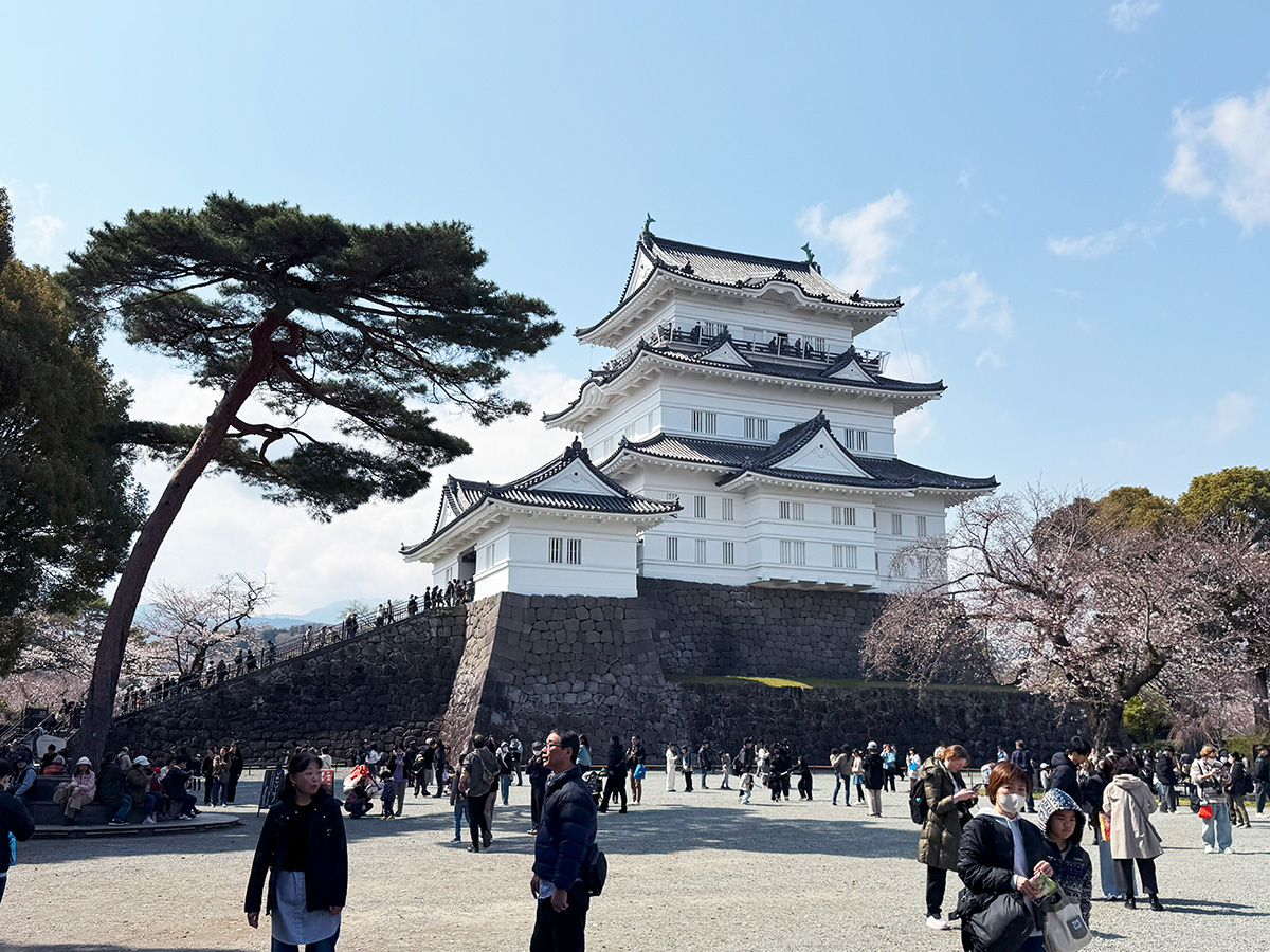 小田原城